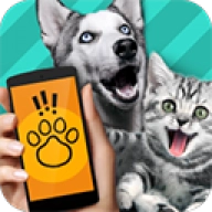 宠物交流翻译器