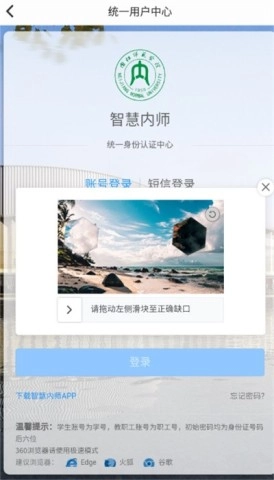 智慧内师图1
