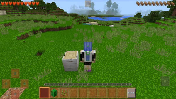 生存战争沙盒14519(4)