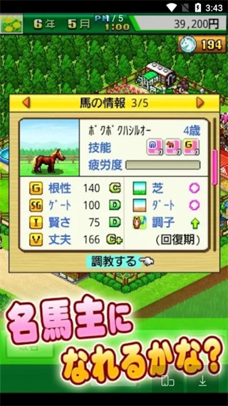 顶级跑马牧场debug3