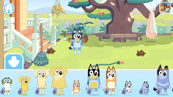 布鲁伊一起玩吧 