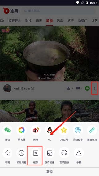 油果浏览器免费版图4