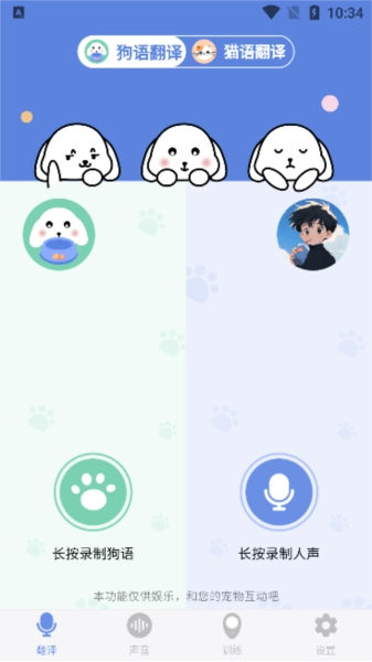 小白交流翻译图4