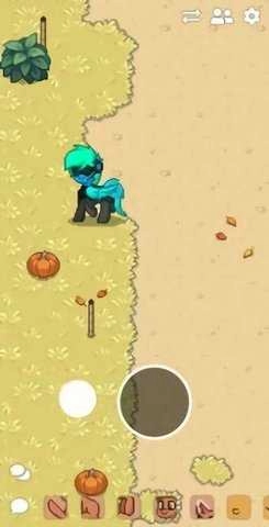 ponytown小马镇.8(1)