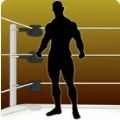 创造一个摔跤手冠军Create A Wrestler - Champion V1.1.0