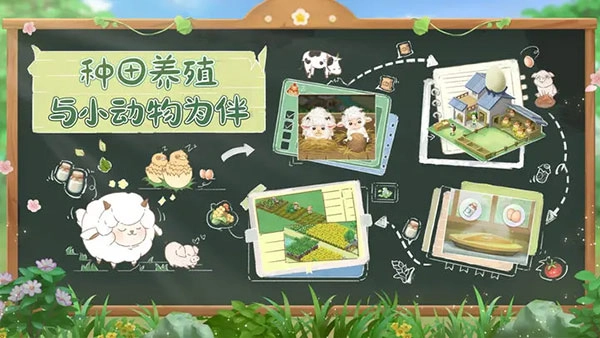 向往的生活华为版截图2