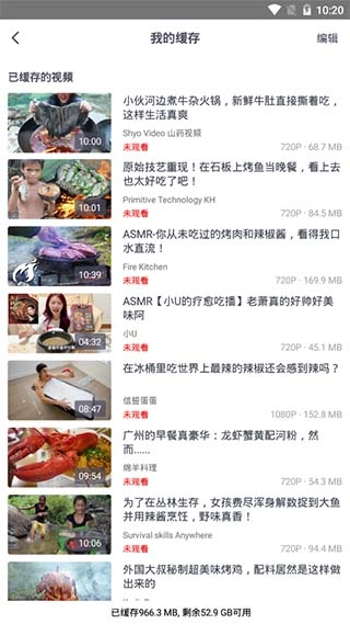 油果浏览器免费版图2