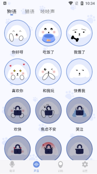 小白交流翻译图3