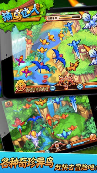 捕鸟达人免费版(3)