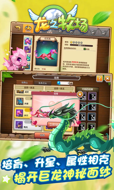 育龙高手vivo版(5)