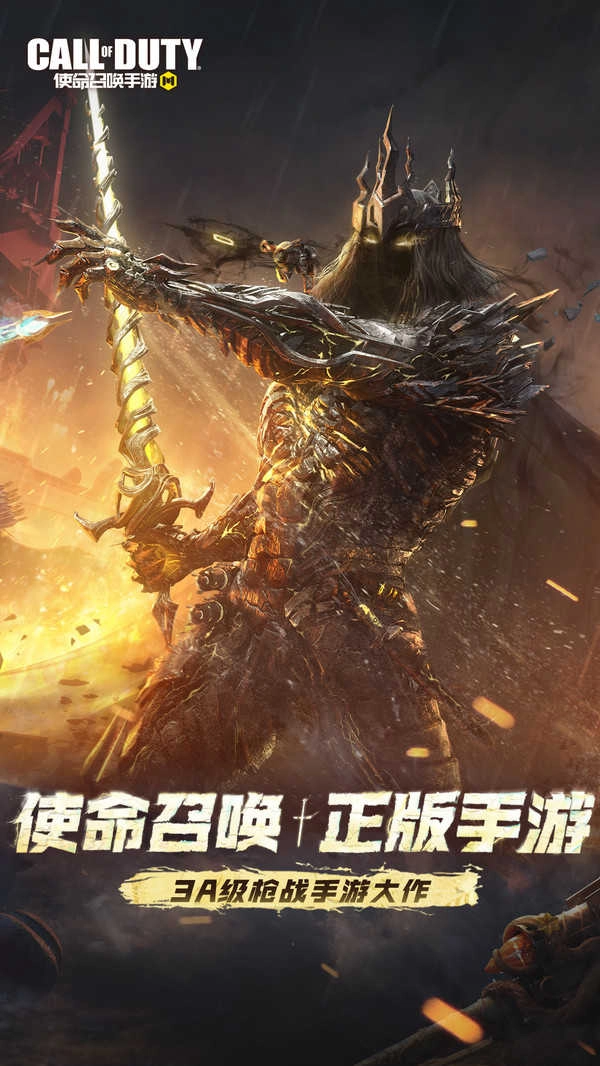 使命召唤正版(3)