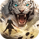 圣境之塔国际服