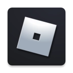 罗布乐思机场大亨