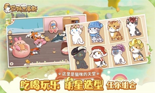 猫猫狗狗一起玩小游戏图4