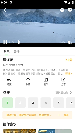 白鸟影评图2