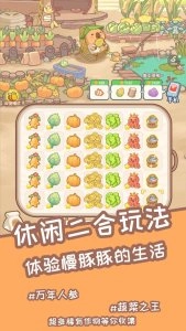 慢豚豚的生活图2