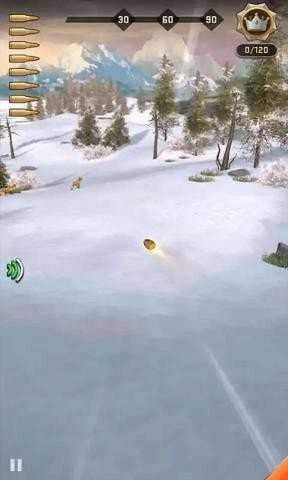 野生鹿猎人Deer HuntingDeer Hunting图2