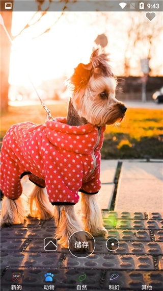 4K高清壁纸精灵图4