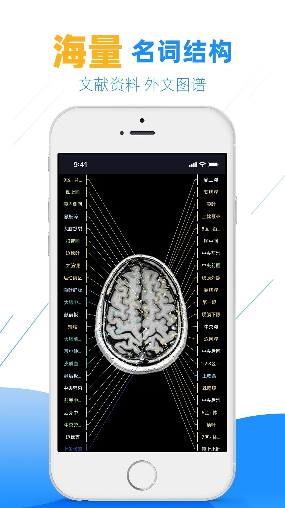影像解剖图谱最新版(4)