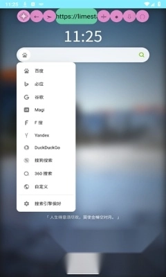 源浏览器图3