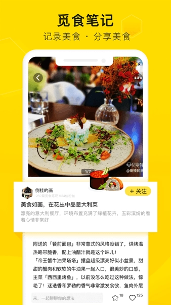 觅食蜂安卓版图2