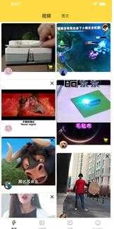 歪点点安装最新版