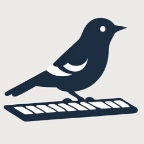 啄字鸟写作安卓版