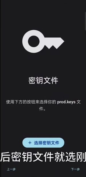 Sudachi模拟器手机版截图3