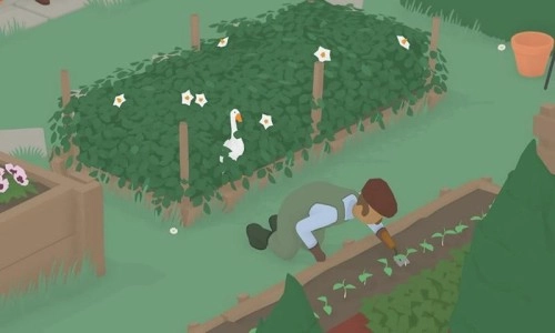 捣蛋鹅双人模式图2