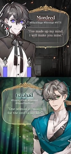 与骑士的秘密之吻游戏手机版图4