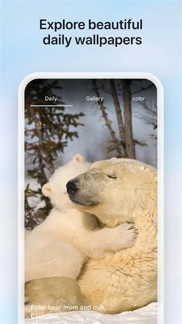 微软必应国际版3