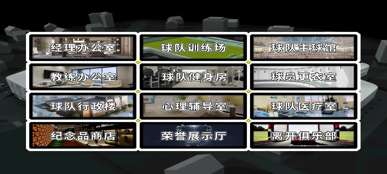 职业足球生涯-图2