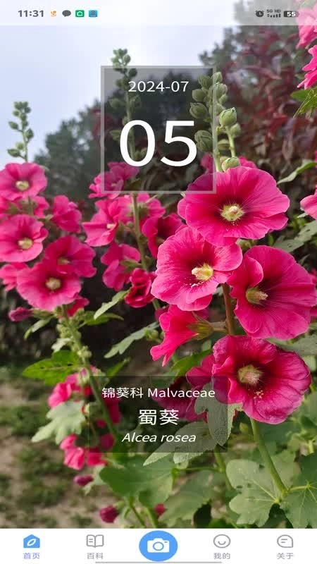 花伴侣专业版图2