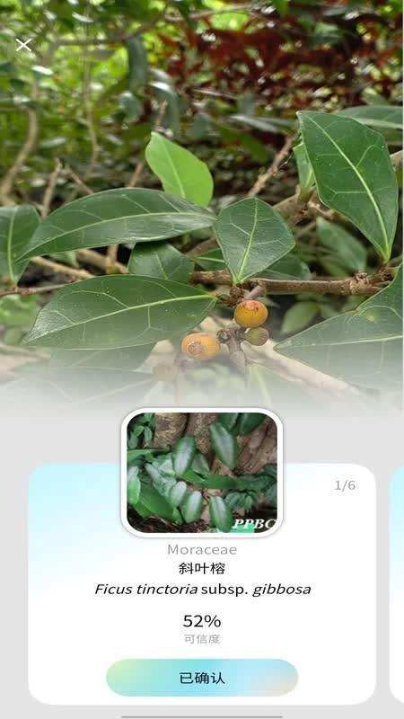 花伴侣专业版图1