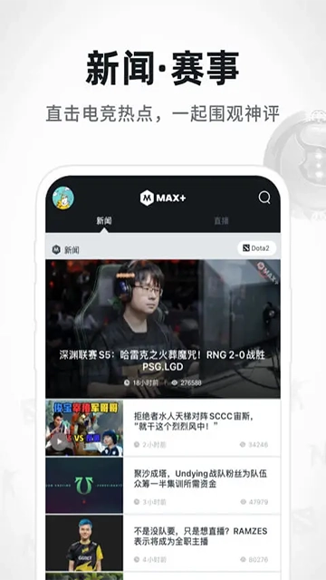 max+图5