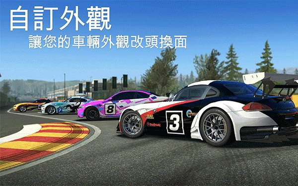 真实赛车3正版(3)