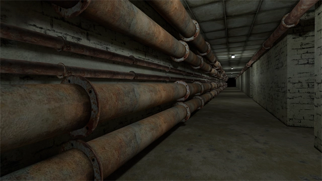 后室多人联机正版图2