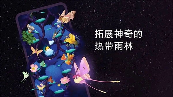 彩翼之星夜