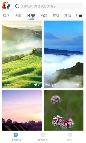 小鸟壁纸最新版图1