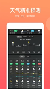 喵喵天气预报(1)