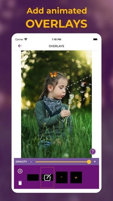 zoetropic专业版图1