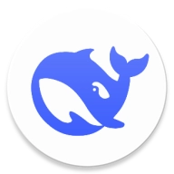 DeepSeek google版