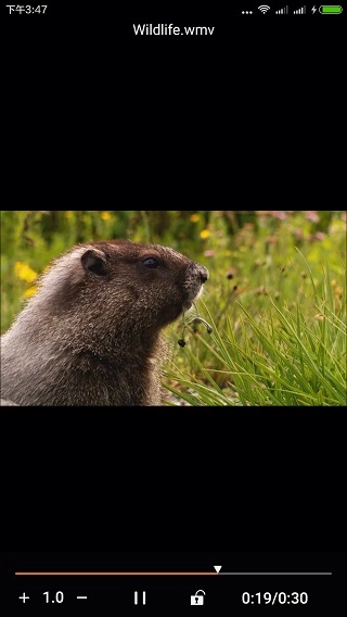 金狮播放器安卓版(3)