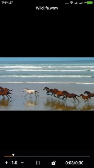 金狮播放器安卓版(1)