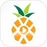 菠萝音乐最新版