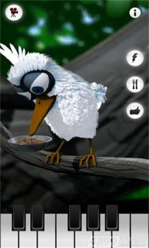 会说话的拉里鸟图3