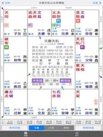 文墨天机紫微斗数图1