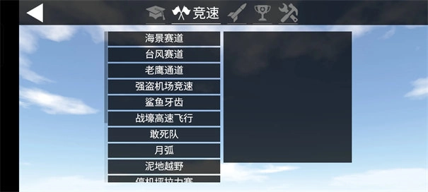 简单飞行中文版