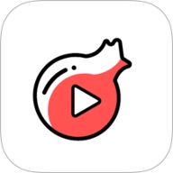 ׷����Ƶ��׿��