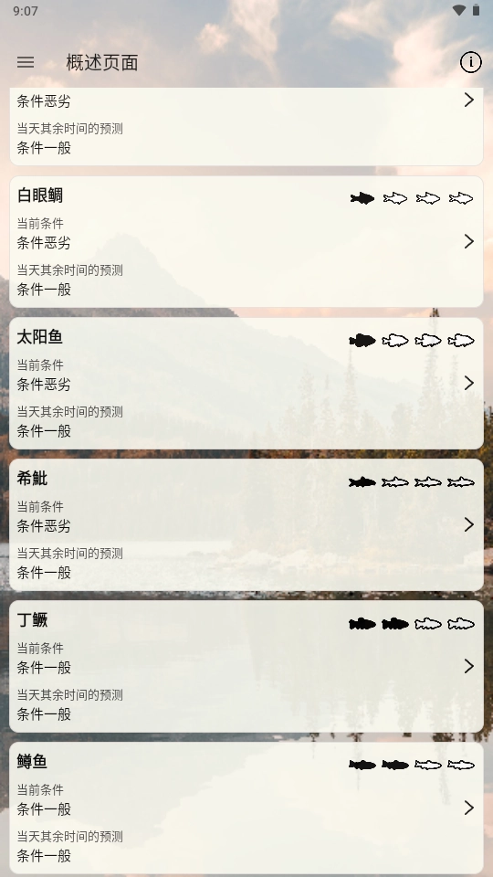 何时钓鱼2025版图4